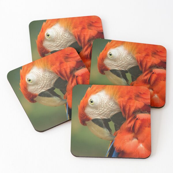 Item preview, Red Parrot, the Scarlet Macaw – portrait designed and sold by steppeland.