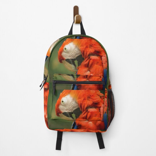 Red Parrot, the Scarlet Macaw – portrait Backpack