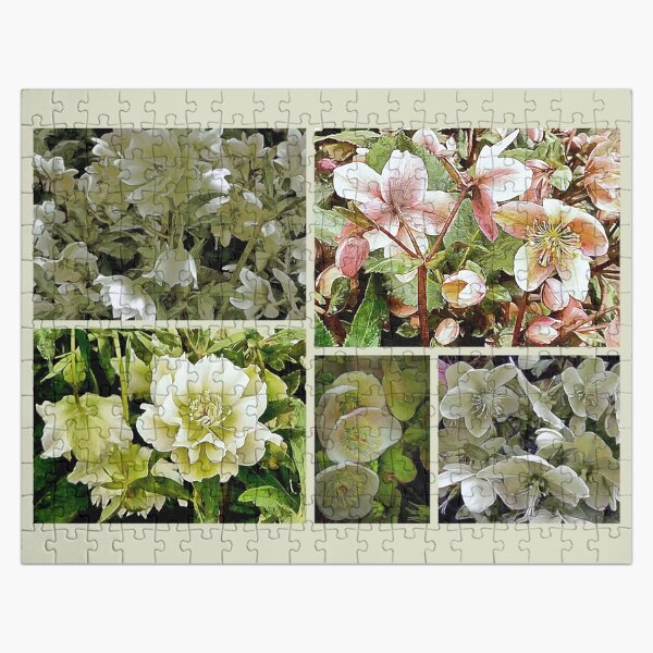 Lenten Rose Large Collage Jigsaw Puzzle