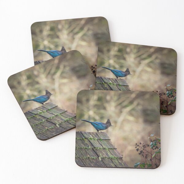 Item preview, Steller Jay designed and sold by Ernie Steven Dickey.