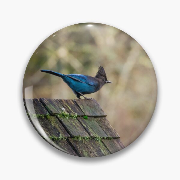 Item preview, Steller Jay designed and sold by Ernie Steven Dickey.
