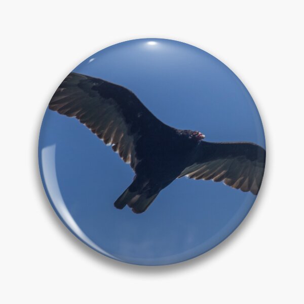 Item preview, Vulture flying in the Gunks designed and sold by louishay.