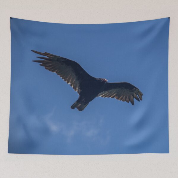 Item preview, Vulture flying in the Gunks designed and sold by louishay.