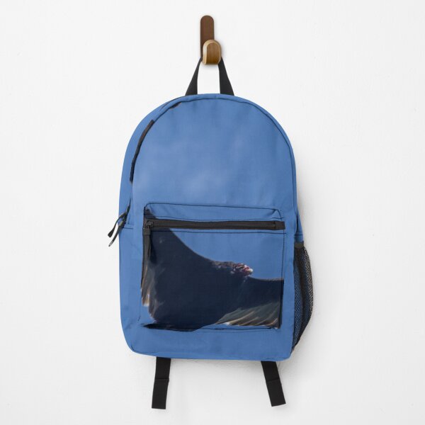 Item preview, Vulture flying in the Gunks designed and sold by louishay.