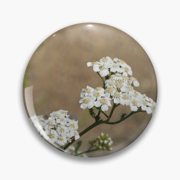 Item preview, inflorescence of white flowers of yarrow designed and sold by mrivserg.