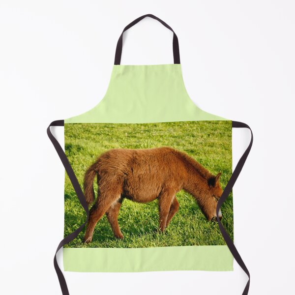 Item preview, Baby donkey grazing designed and sold by Gaspar Avila.