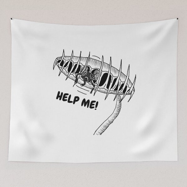 Item preview, Dionaea Muscipula Venus Fly Trap House Plant Gift designed and sold by Carnivorous  Plant Club ⭐⭐⭐⭐⭐.