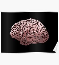 Human Brain Poster
