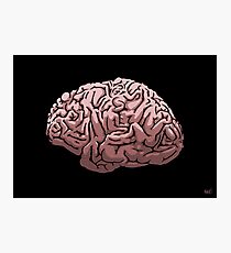 Human Brain Photographic Print