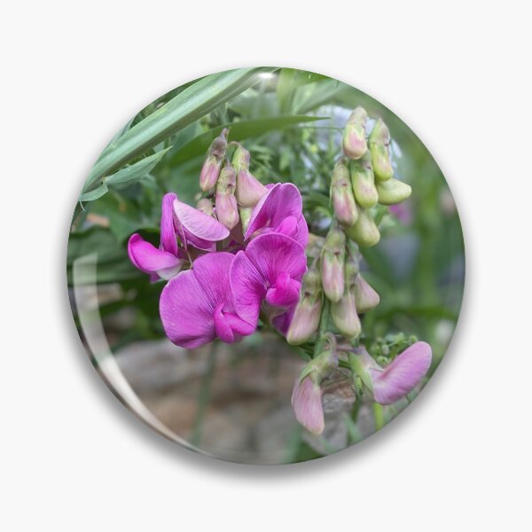 Item preview, Everlasting Pea designed and sold by Maria Chandler.
