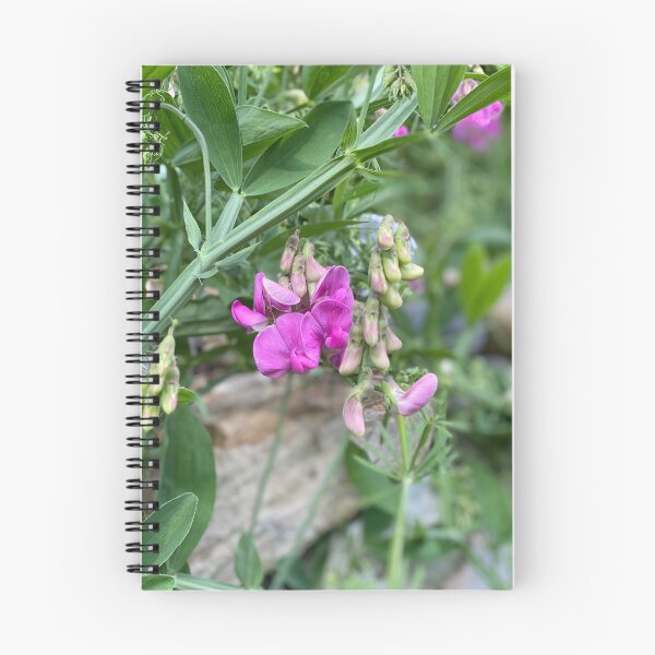 Item preview, Everlasting Pea designed and sold by Maria Chandler.