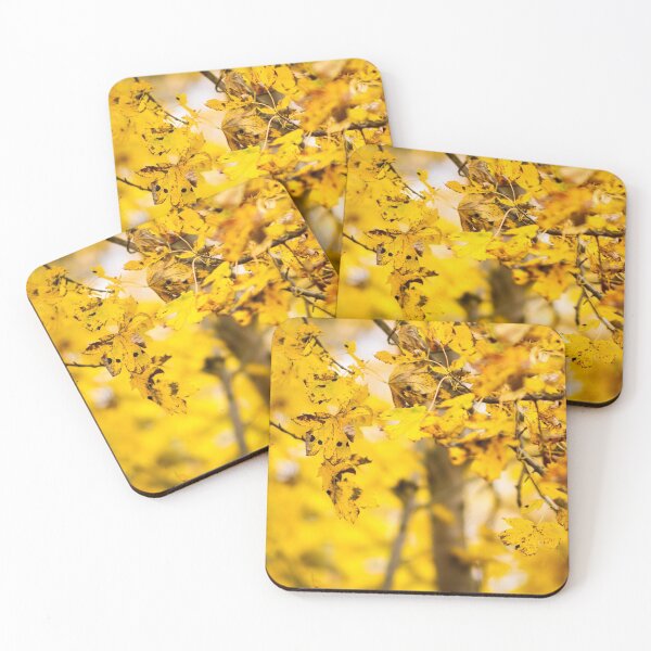 Item preview, Beautiful Yellow Leaves in The Fall designed and sold by Niklas-theHiker.