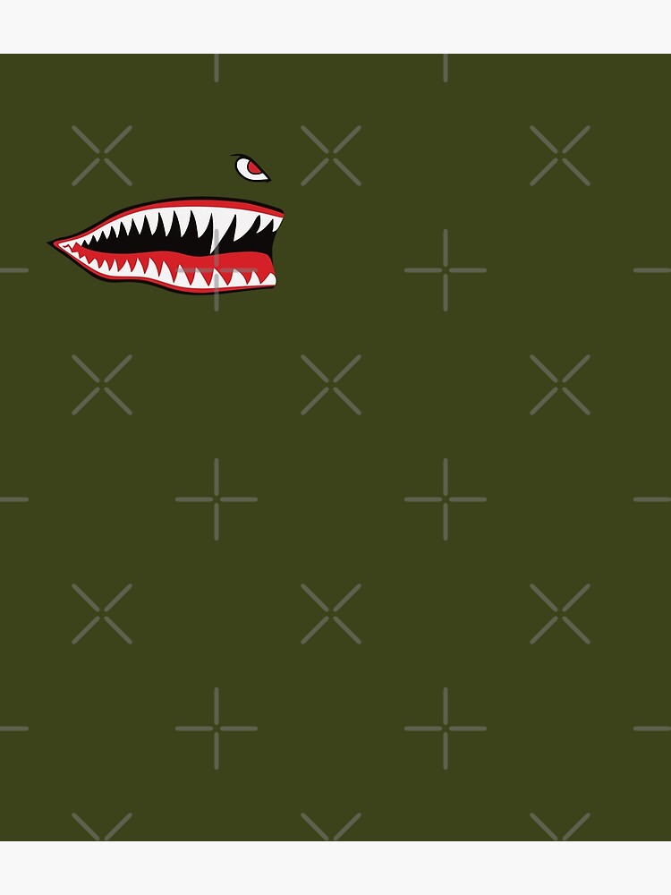 Flying Tigers Nose Warhawk by Beltschazar