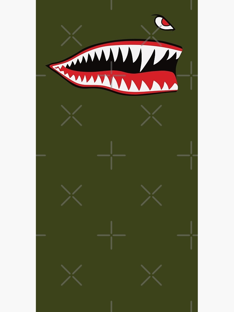 Flying Tigers Nose Warhawk by Beltschazar