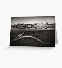 Signature Greeting Card