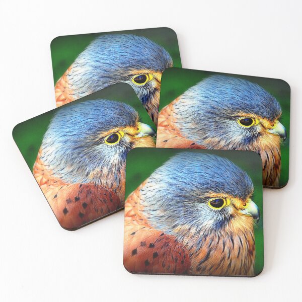 Item preview, European Kestrel  designed and sold by naturelover.