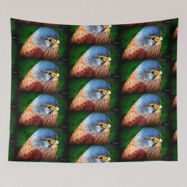 Item preview, European Kestrel  designed and sold by naturelover.