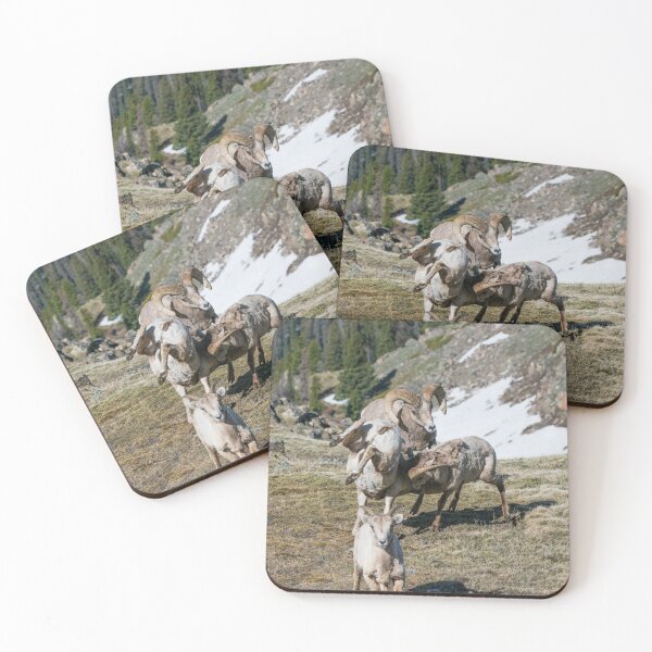 Item preview, Rams Clash Heads designed and sold by DFMY.