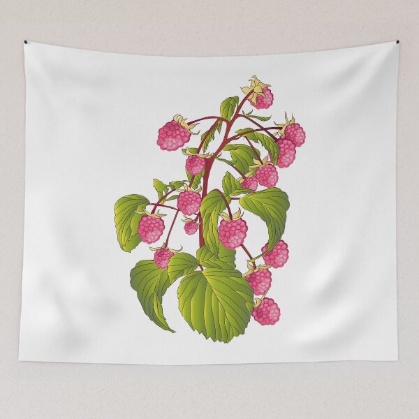 Item preview, Raspberries. designed and sold by emphatic.