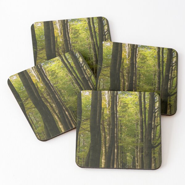 Item preview, Forest lane with sunshine designed and sold by TrijnieD.
