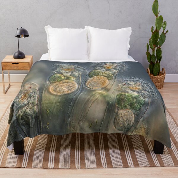 Item preview, Photography designed and sold by Hana Chovanova.