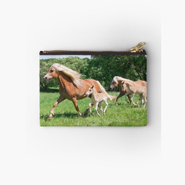 Item preview, Haflinger horses run together designed and sold by Katho Menden.
