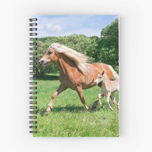 Item preview, Haflinger horses run together designed and sold by Katho Menden.