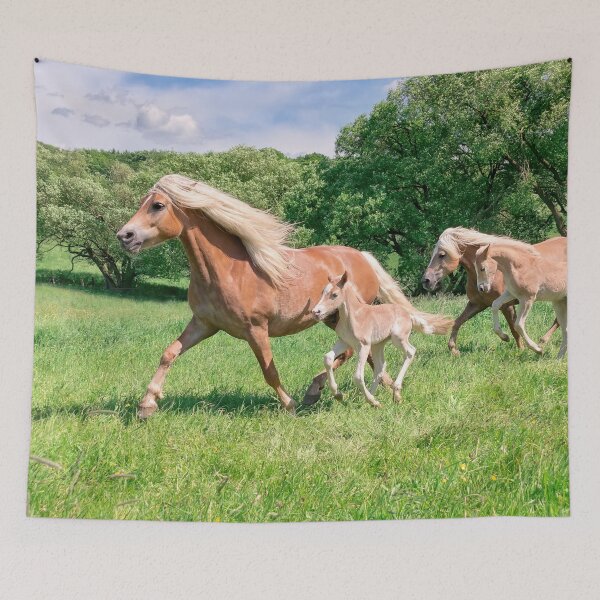 Item preview, Haflinger horses run together designed and sold by Katho Menden.