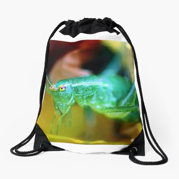 Grasshopper Drawstring Bag