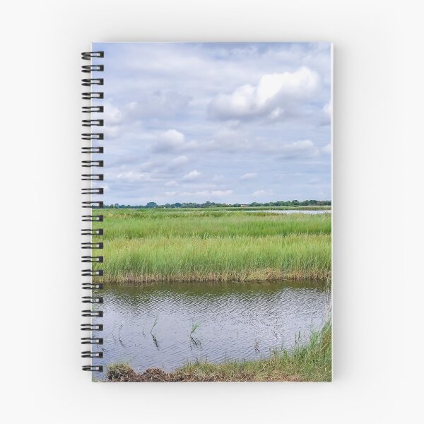 Item preview, A view across Hickling Nature Reserve designed and sold by yackers1.