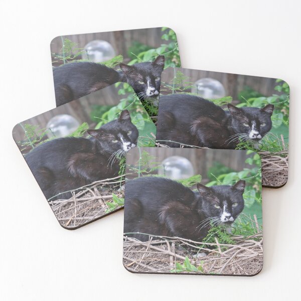Item preview, Panter designed and sold by Nira Dabush.