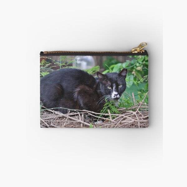 Item preview, Panter designed and sold by Nira Dabush.