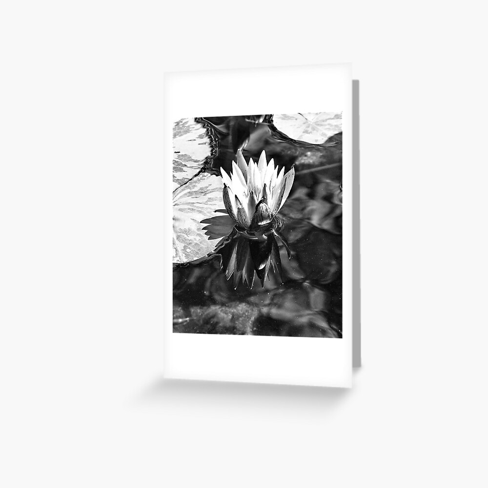 Lotus Greeting Card