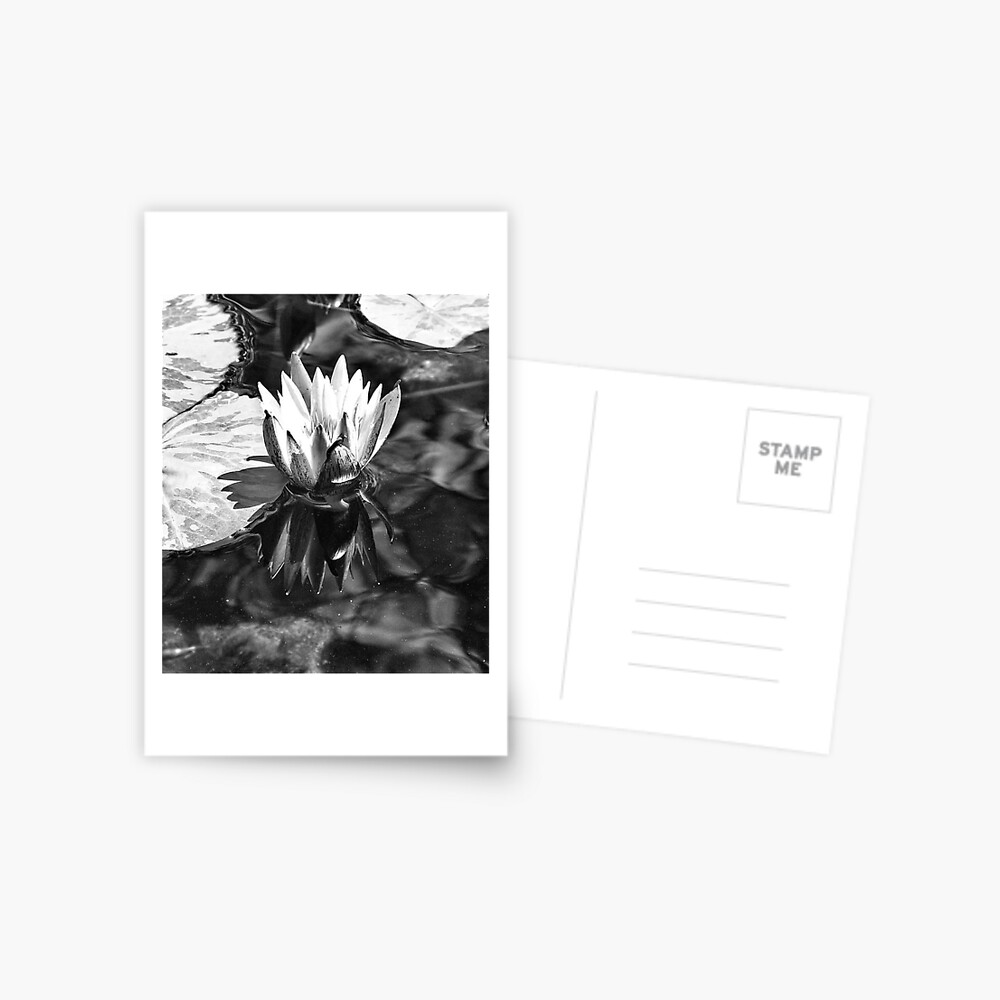 Lotus Postcard