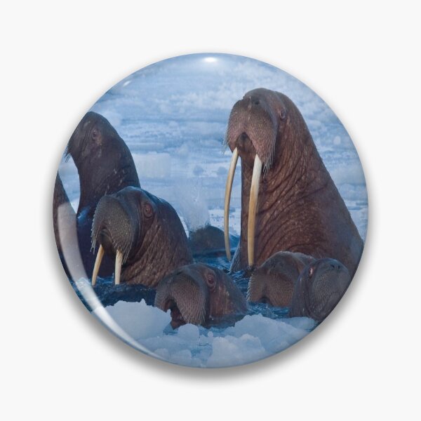 Item preview, Nature at low temperatures designed and sold by FranFornix.