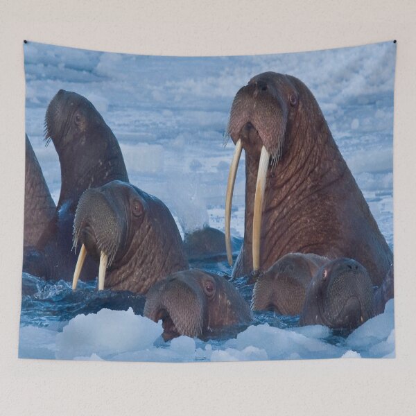 Item preview, Nature at low temperatures designed and sold by FranFornix.