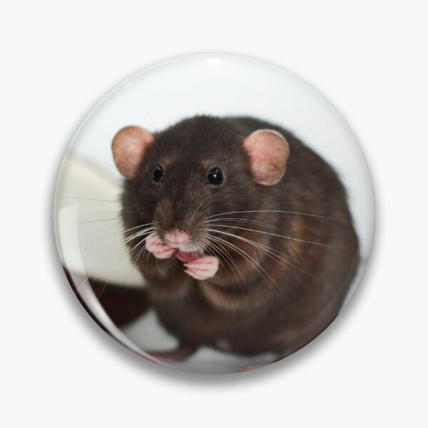 Item preview, You Put the Rat in the Coconut designed and sold by Bogglesandboops.