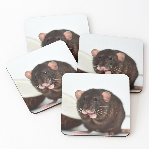 Item preview, You Put the Rat in the Coconut designed and sold by Bogglesandboops.