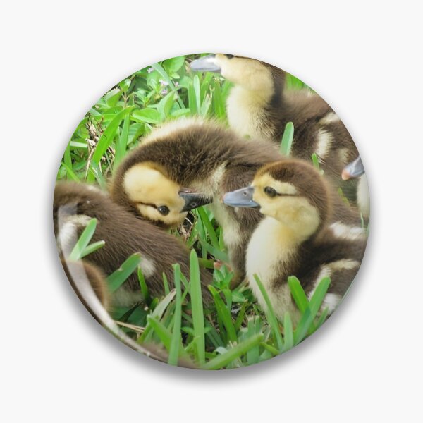 Item preview, Baby Ducklings in the Tall Grass designed and sold by Akitsu.