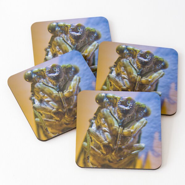Item preview, Preserved Cicada Macro Photography designed and sold by Akitsu.