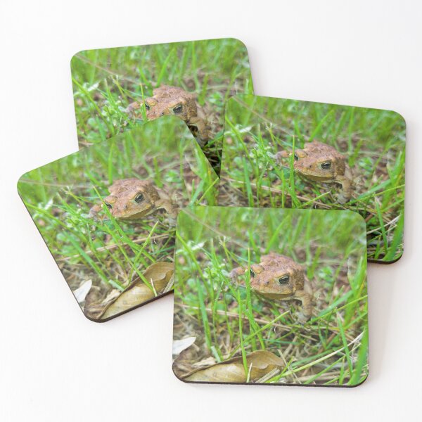 Item preview, Little Frog Explorer designed and sold by Akitsu.
