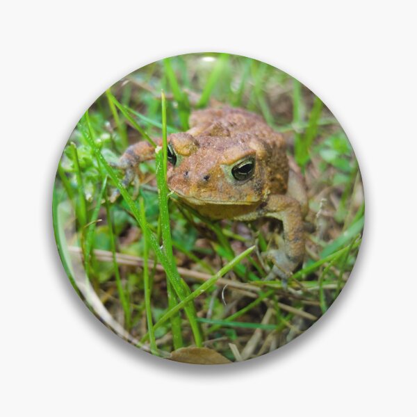 Item preview, Little Frog Explorer designed and sold by Akitsu.