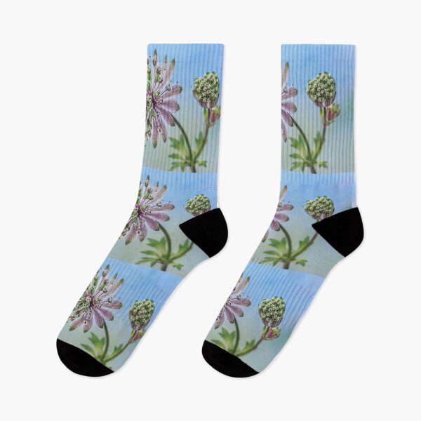 Item preview,  Astrantia and Bud designed and sold by John Ray.
