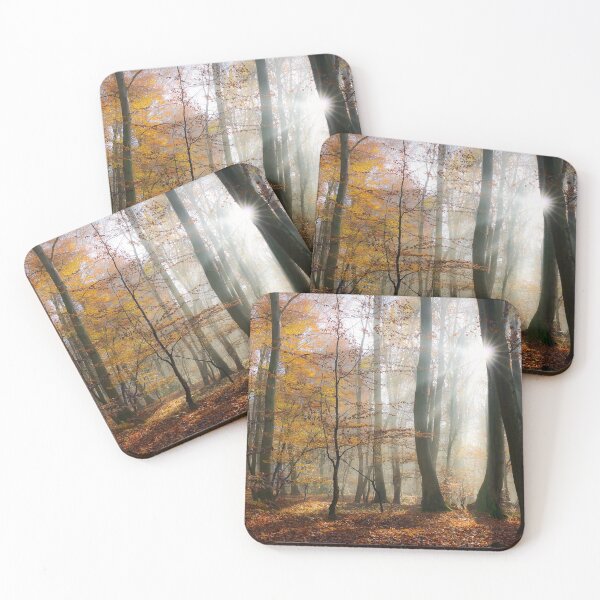 Item preview, Sun rays in a mystic misty forest designed and sold by Katho Menden.