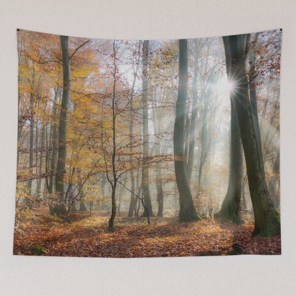 Item preview, Sun rays in a mystic misty forest designed and sold by Katho Menden.