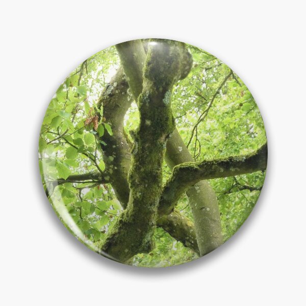 Item preview, Branches designed and sold by Fara.