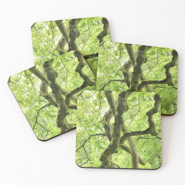 Item preview, Branches designed and sold by Fara.