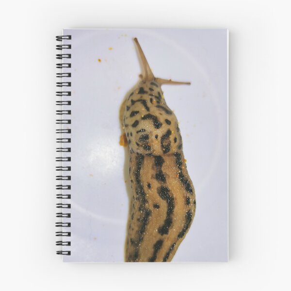 Item preview, Massive Slug designed and sold by Akitsu.