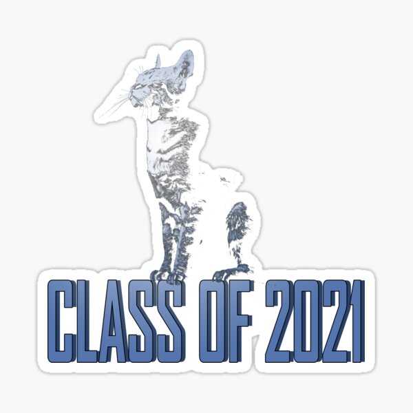 Item preview, Class of 2021 funny cats design designed and sold by vidyaroul.