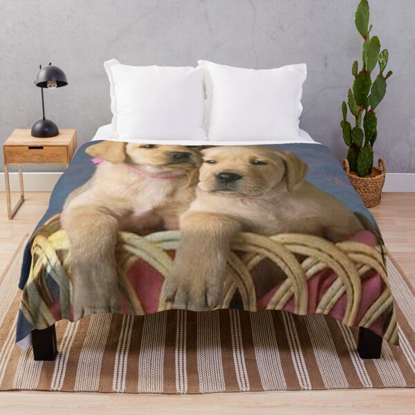 Item preview, Photogenic puppies designed and sold by FranFornix.